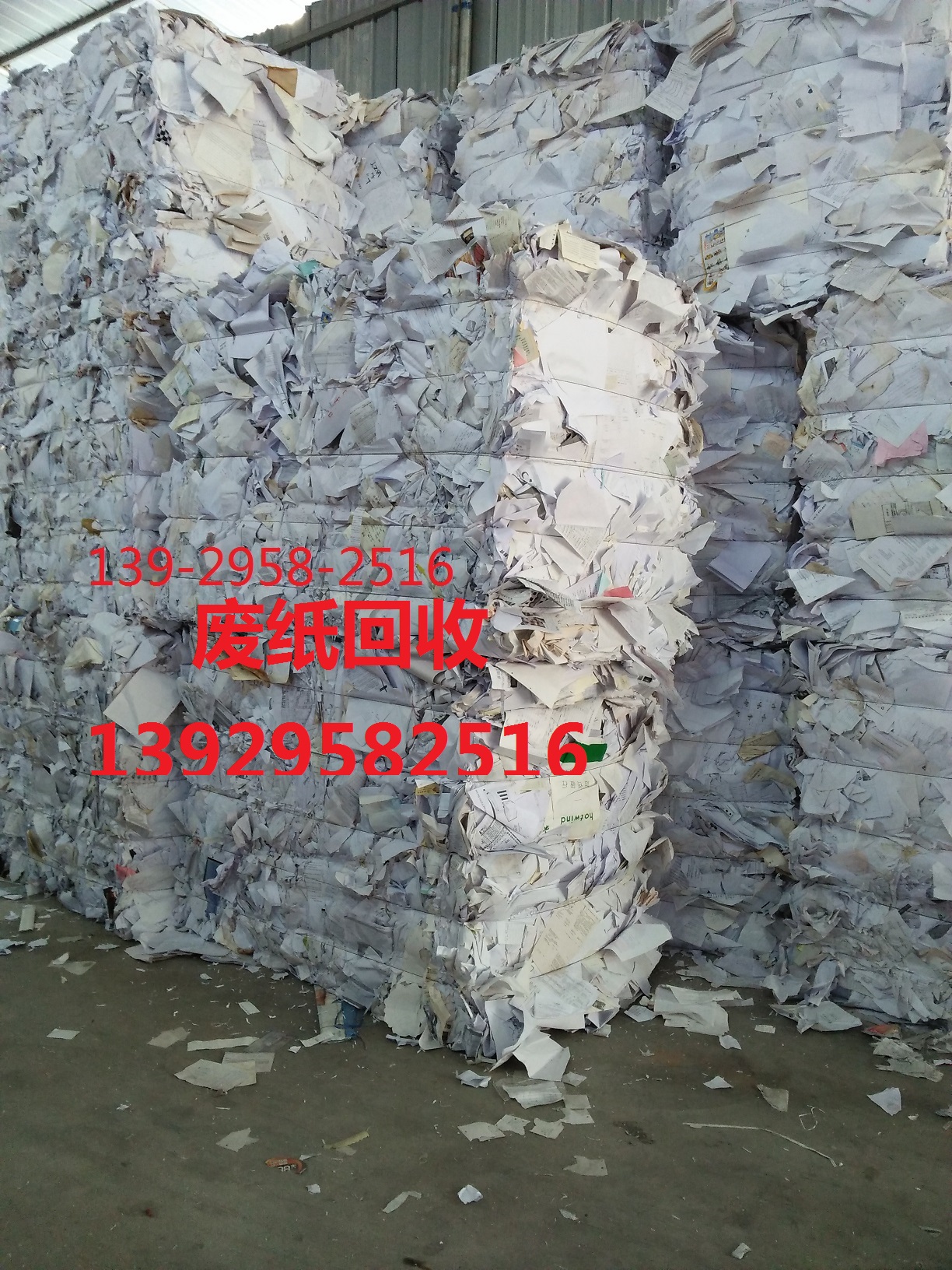 IMG20161028165357.jpg IMG20161028165357.jpg