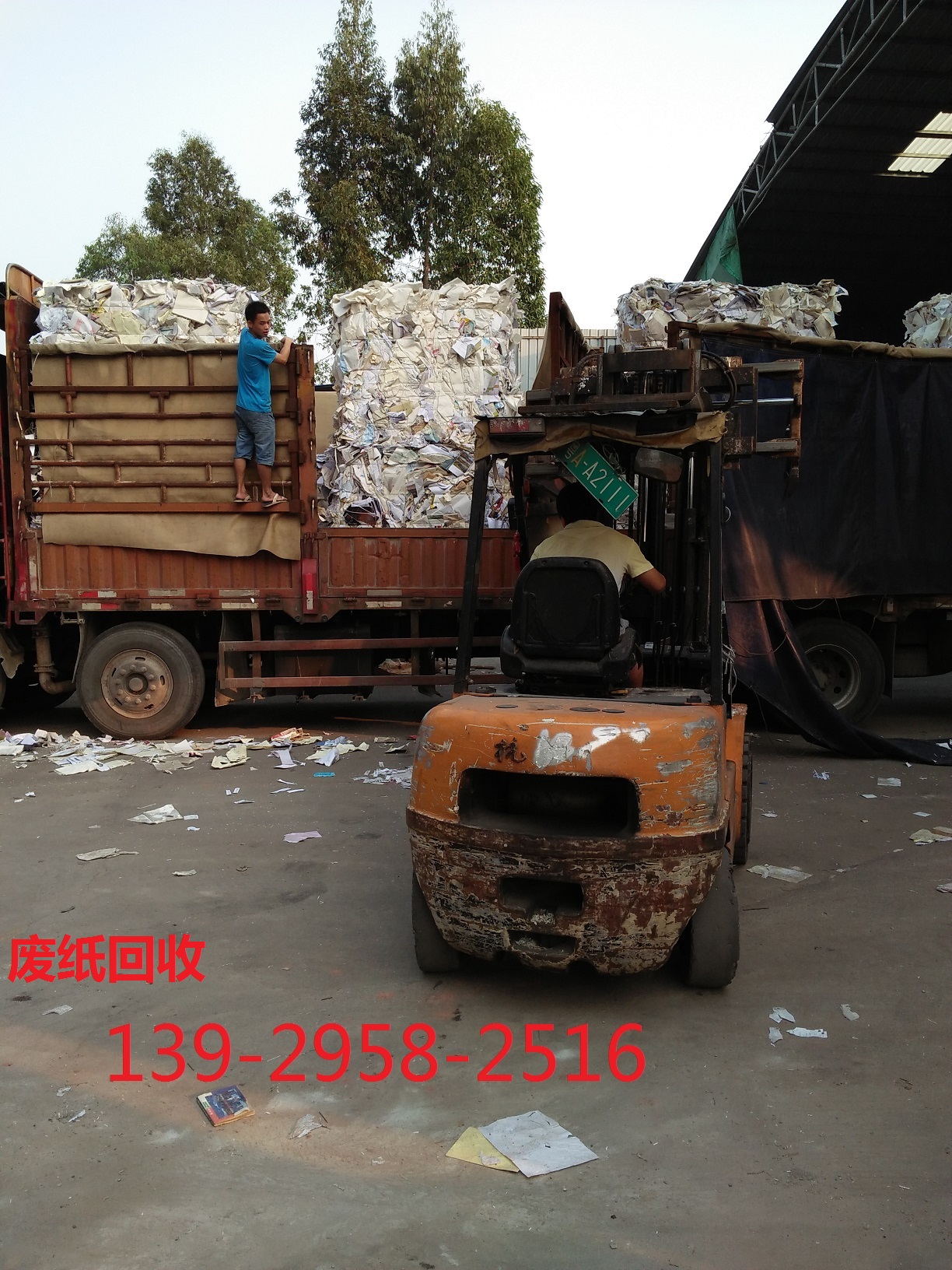 IMG20161028163609.jpg IMG20161028163609.jpg