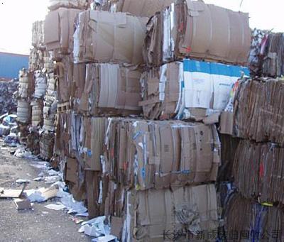 11184646856.jpg 11184646856.jpg